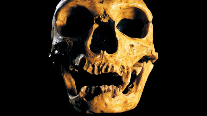 První genocidu jsme spáchali na neandertálcích, píše vědec v nové knize