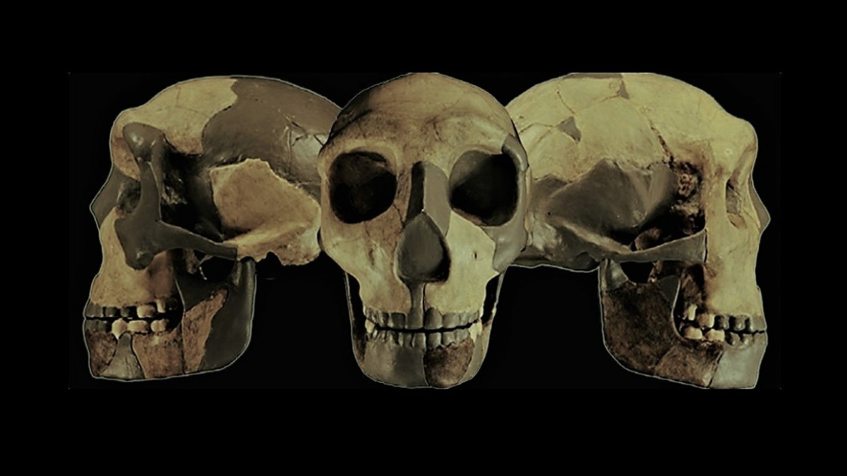 Nalezena lebka, která se nepodobá žádnému známému druhu člověka