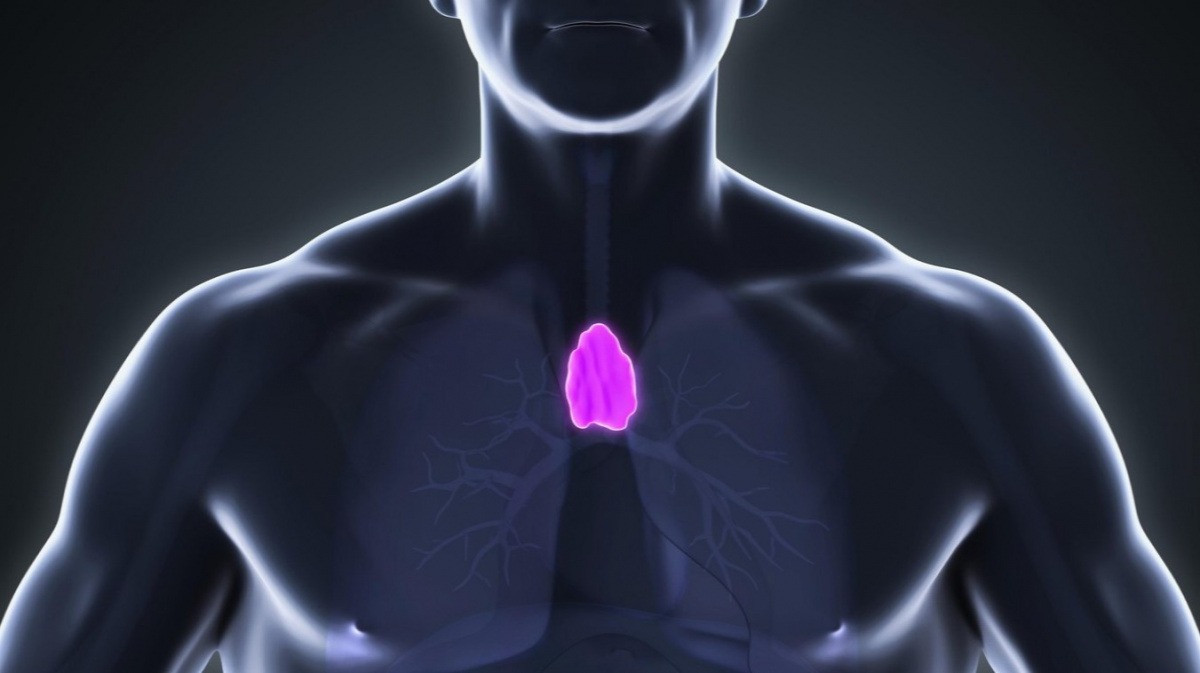 ‚Zbytečný‘ orgán, který lékaři často odstraňují, nás může chránit před rakovinou