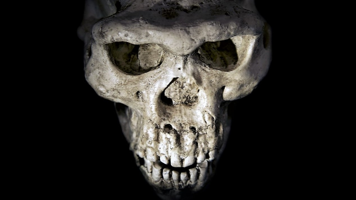 Měli jsme z pekla štěstí, lidé před 900 000 lety málem vymřeli. Zbyla jich jen hrstka