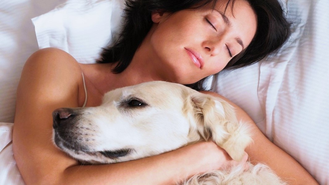 V jakou denní dobu máme nejhorší náladu?