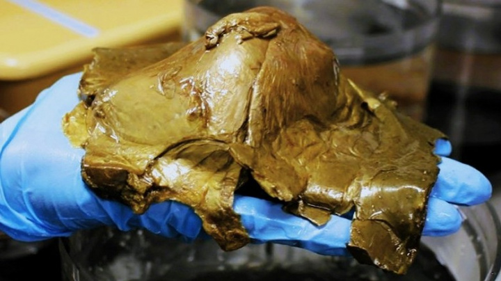 „Je to biologické, ale nevíme, co to je.“ První výzkum záhadu zlaté koule nevysvětlil