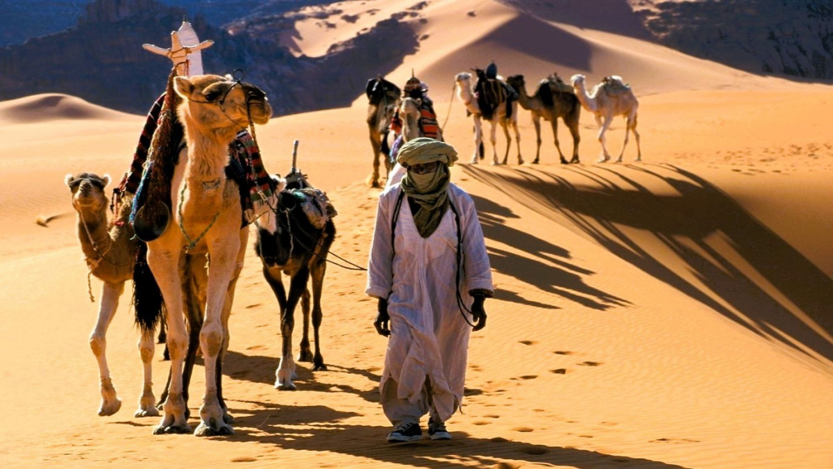 Sahara se za tisíce let promění v rajskou zahradu