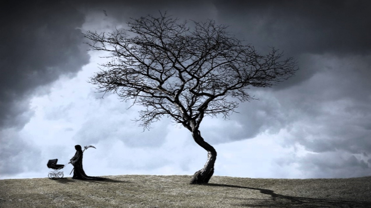 Člověk rozpoutal biologický armageddon. Ze stromu života odpadají celé větve