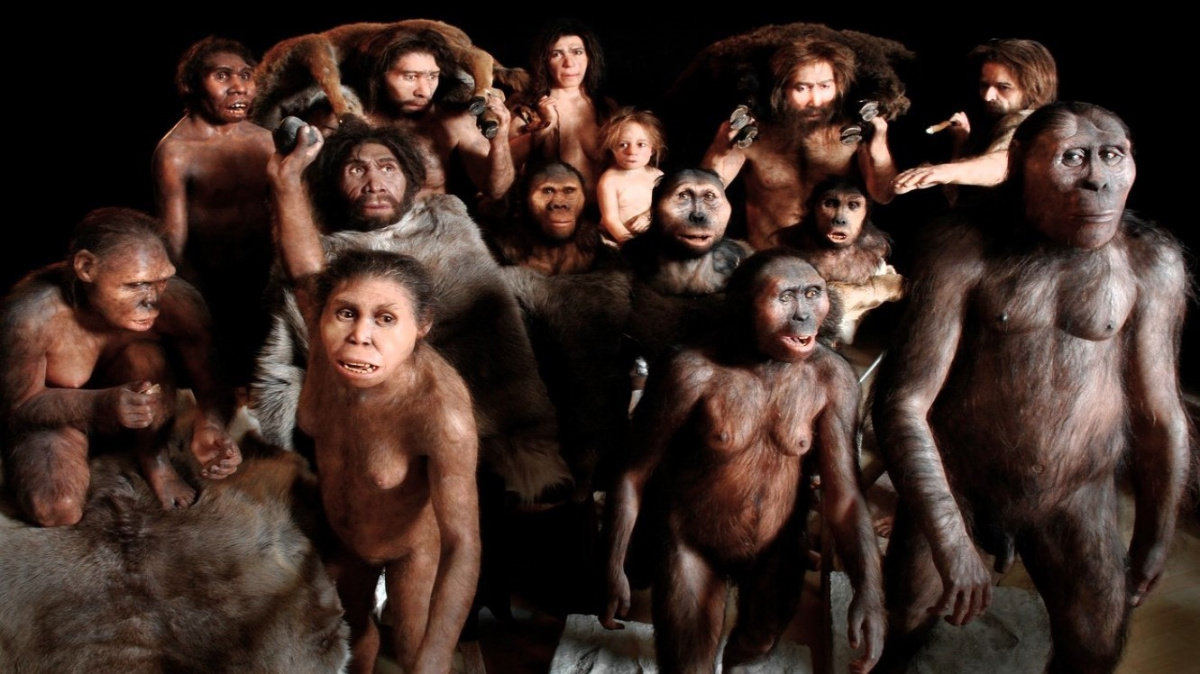 Předci lidí soupeřili s hyenami o mršiny