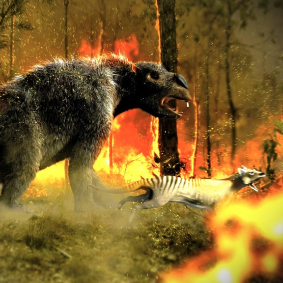 Odhaleny kostry největších vačnatců všech dob. Obří tvorové žili po boku lidí