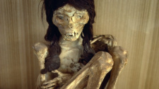 Chinchorro