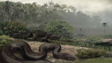 Titanoboa