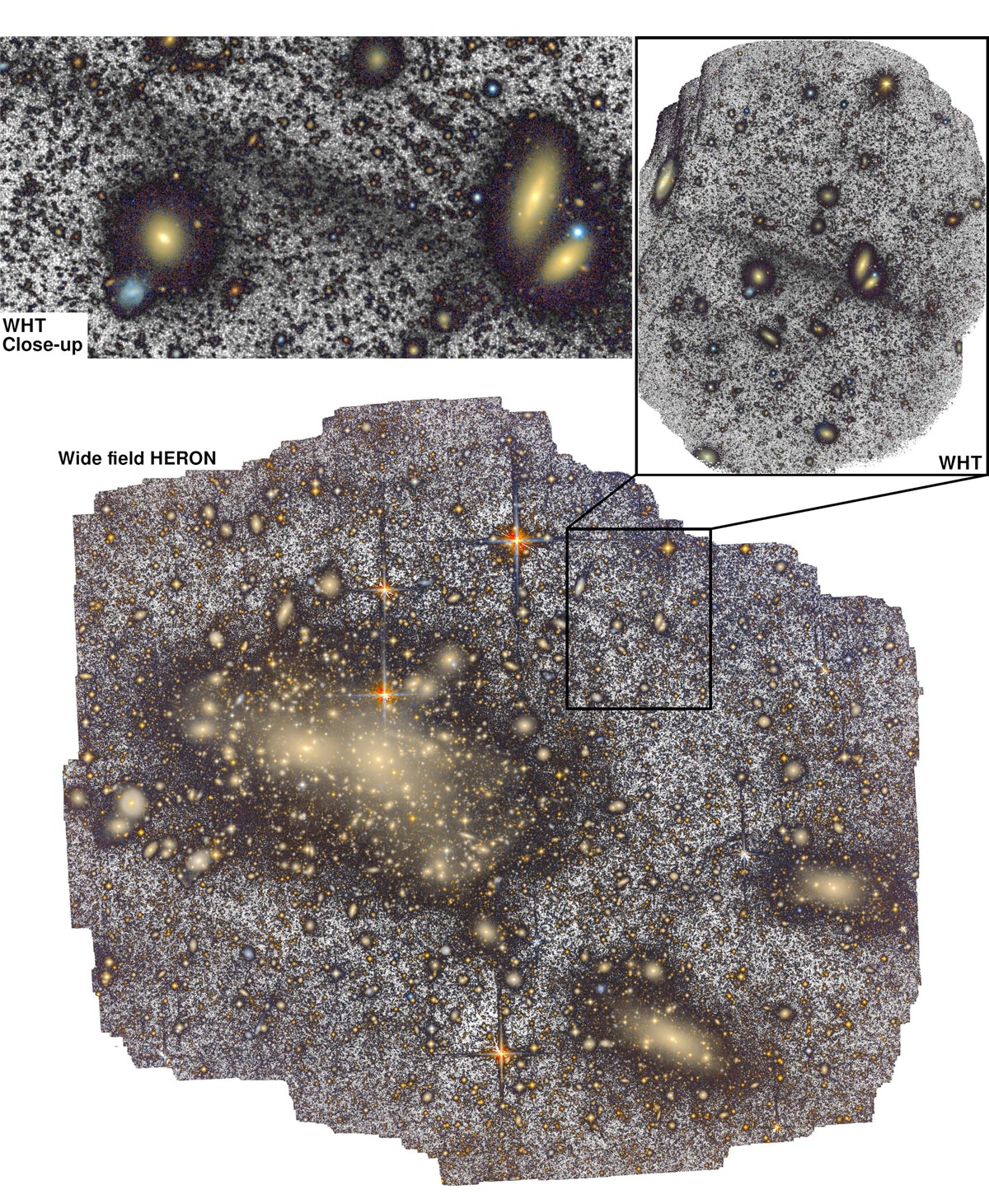 aa46780-23-fig1