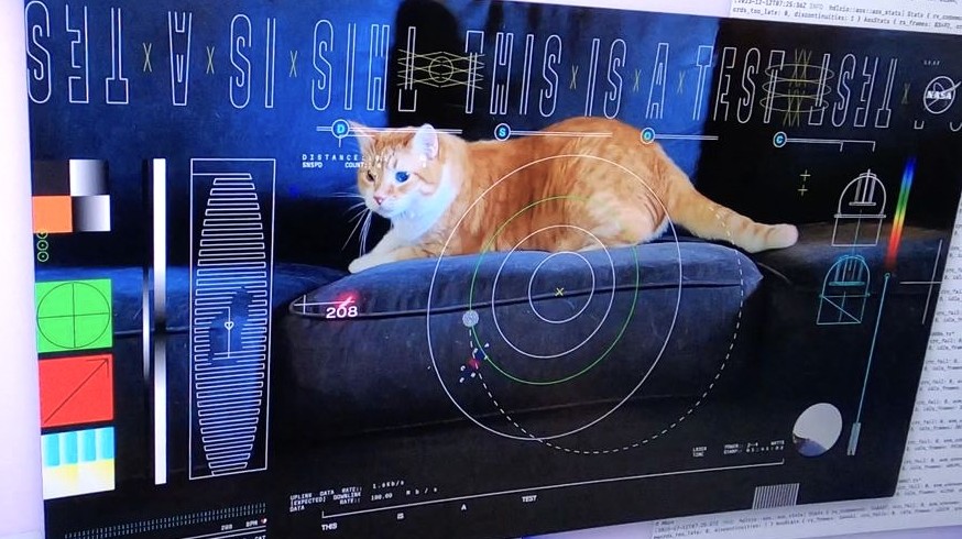 Rychlejší než internet. Vesmírná sonda vyslala laserem na Zemi video s kočkou