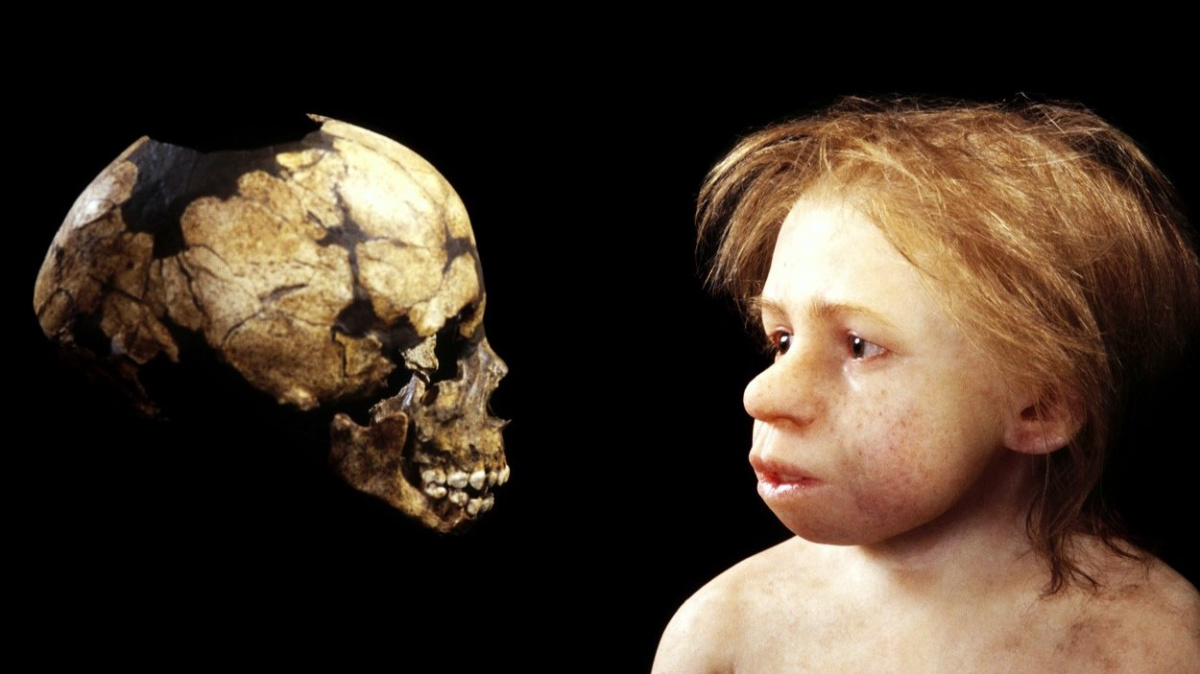 Neandertálec nebyl cizí druh, ale jeden z nás. Naznačuje to genetika