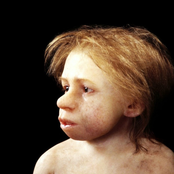 Neandertálec nebyl cizí druh, ale jeden z nás. Naznačuje to genetika
