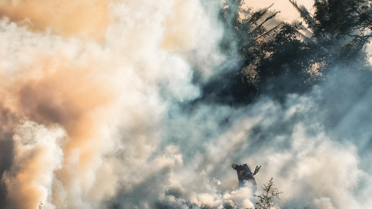 The Guardian: Lesní požáry spalují náš uhlíkový rozpočet