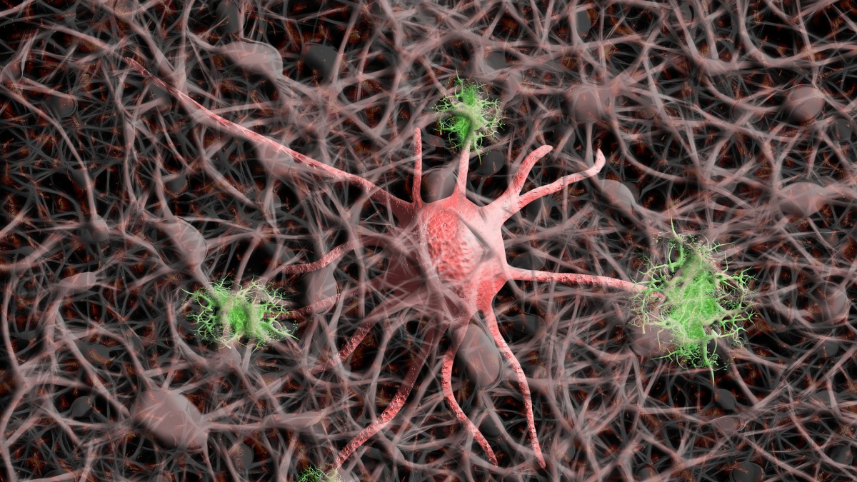 Budeme léčit Alzheimerovu chorobu, rozhodla EK