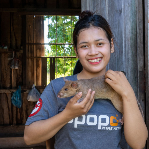 Krysa Ronin: Malý hrdina s čenichem na miny, který zachraňuje životy