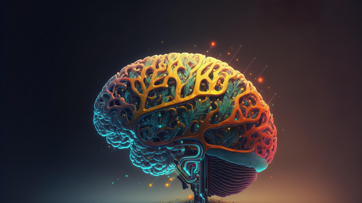 Revoluční zjištění! Mozek se učí jinak, než se myslelo