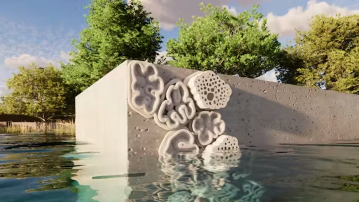 Co když korálové útesy vymřou? Vědci mají inovativní řešení