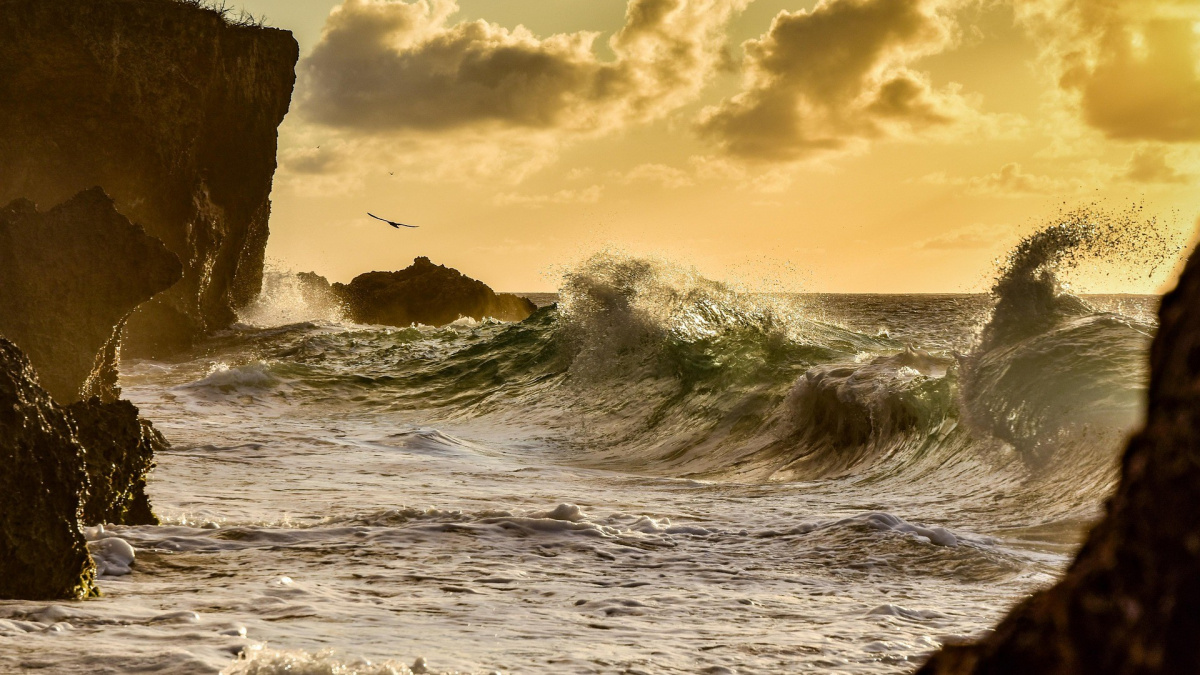 Co kdyby vymřel v oceánech všechen život? Vědci zjistili něco nečekaného