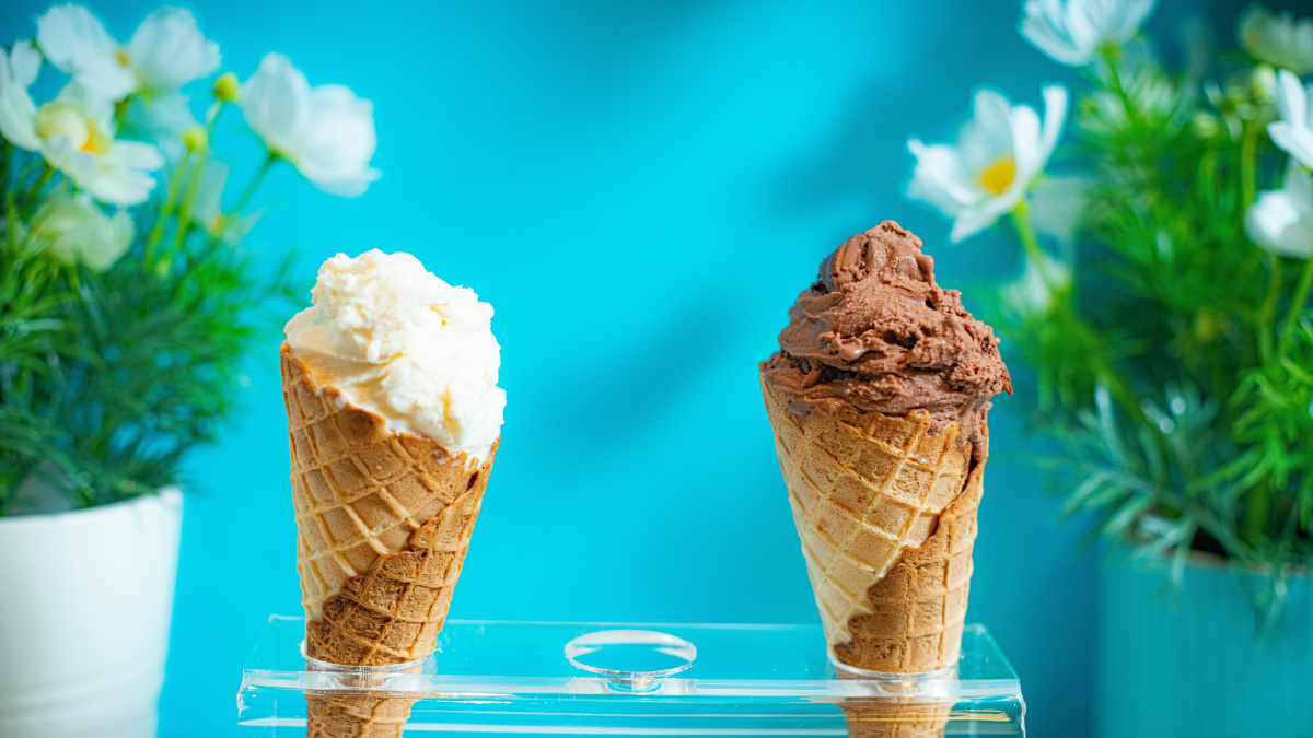Máte rádi vanilkovou zmrzlinu? Změna klimatu tomu učiní přítrž