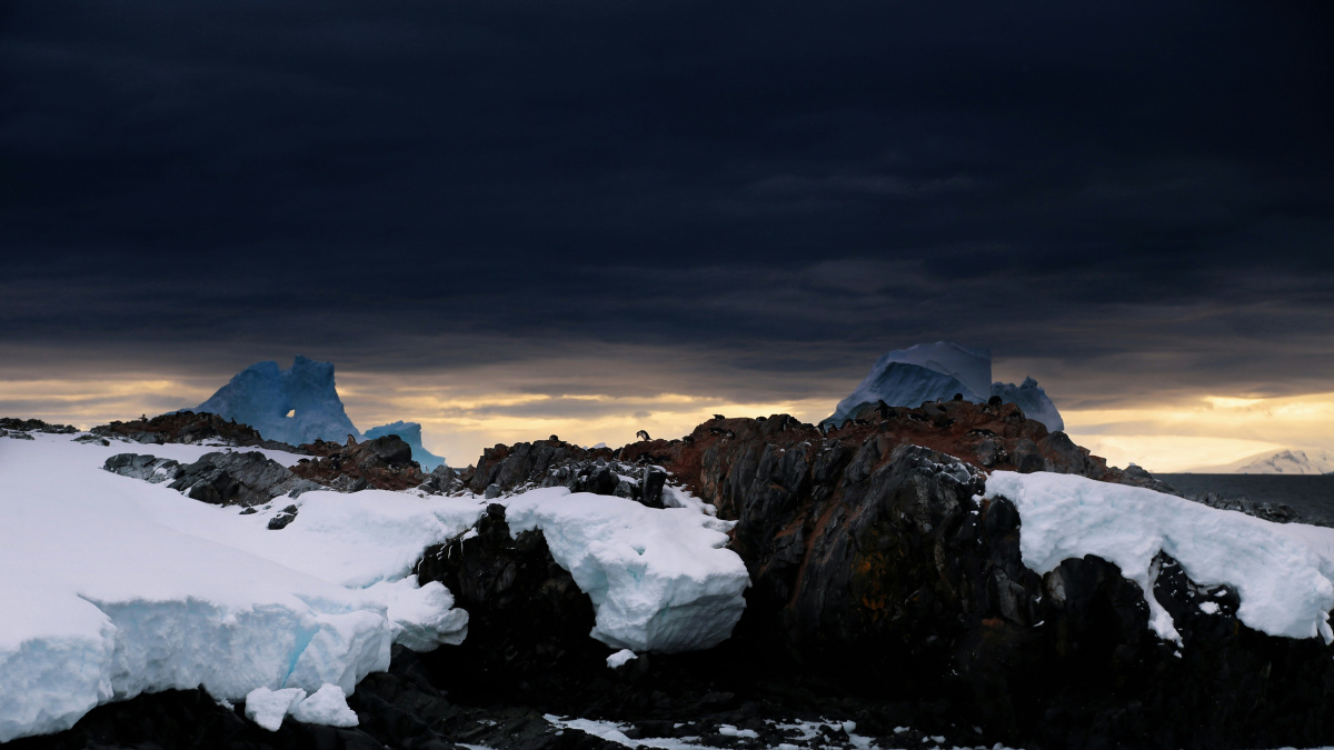 Nečekané! Nejstarší spermie vědci objevili v Antarktidě