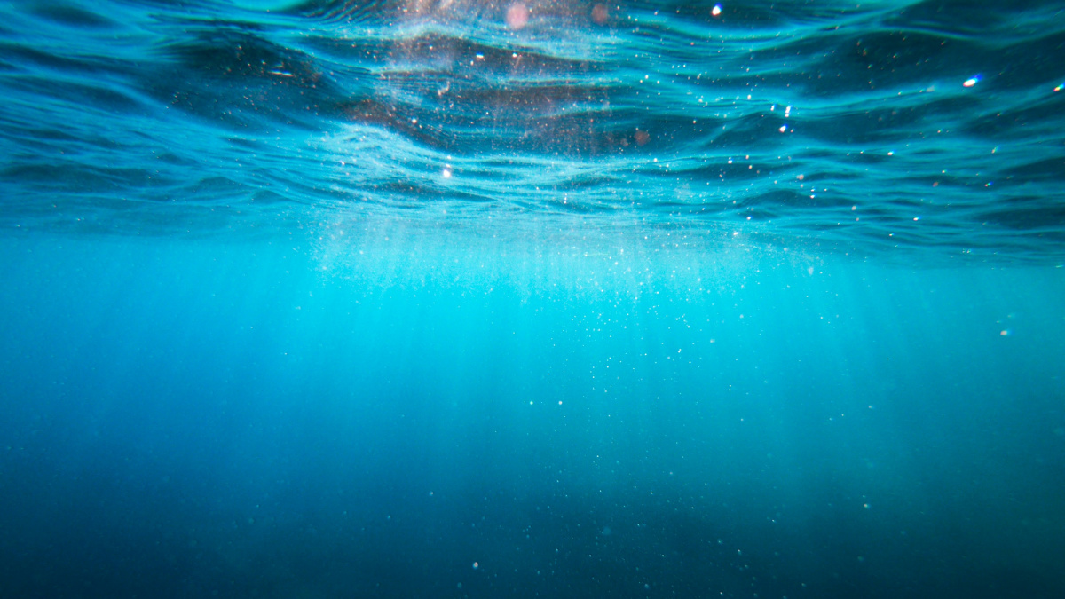 Až všechny zvuky utichnou. Oceány se stávají tichým a smutným hřbitovem