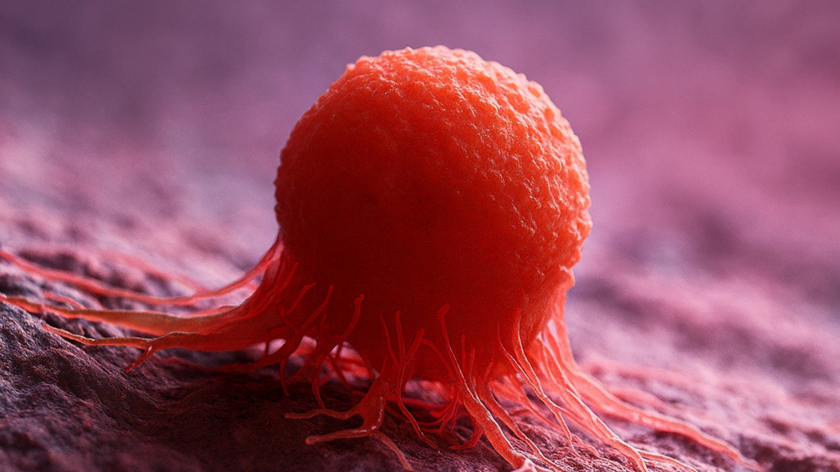 Rakovinné buňky jsou proti nové vakcíně bezbranné, pochvalují si vědci