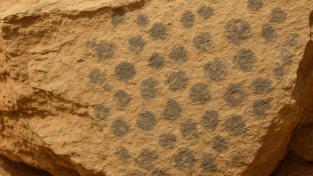 Rover na Marsu našel doposud největší stopy života mimo Zemi