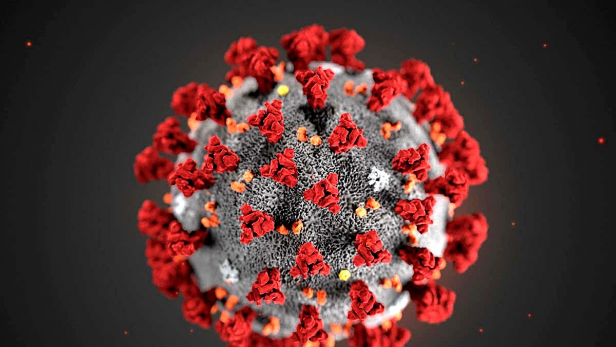 Nová mutace Covidu je nebezpečná, může obcházet protilátky