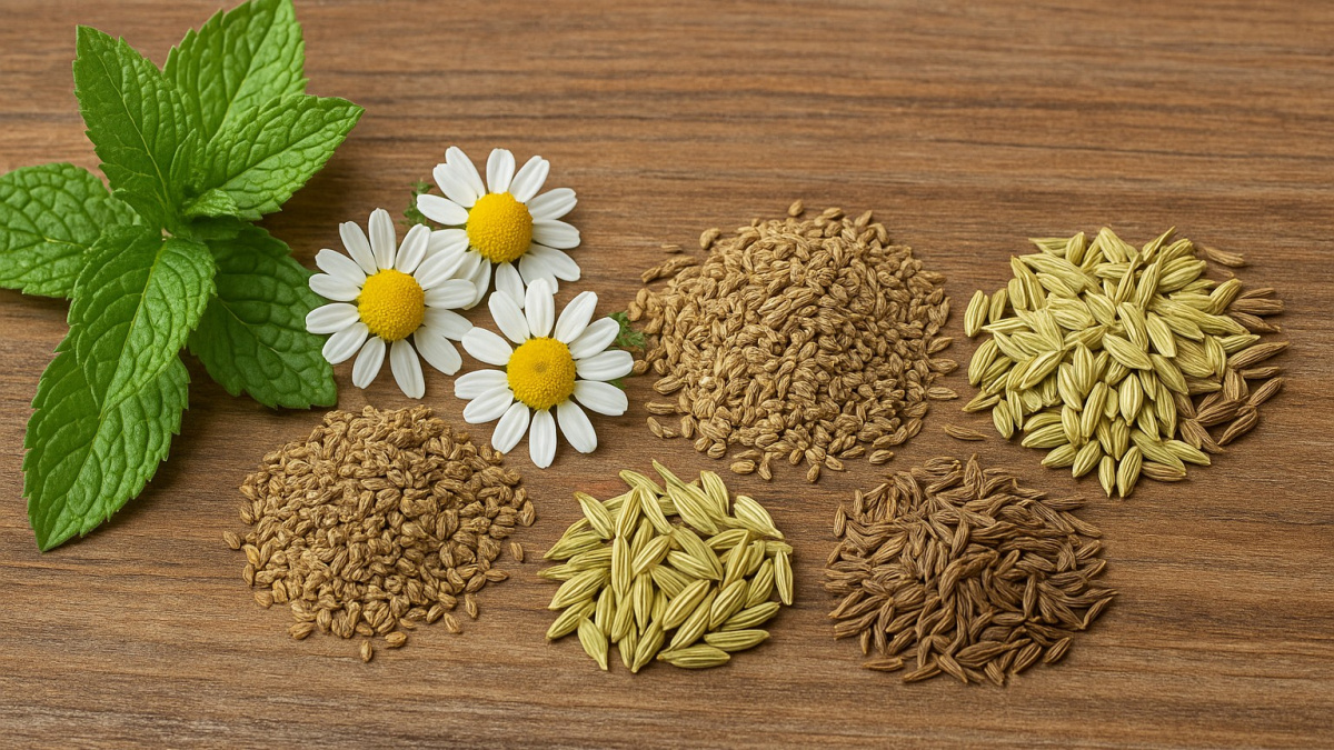 Přírodní pomoc pro váš podrážděný žaludek: 5 bylin a koření, které usnadňují trávení