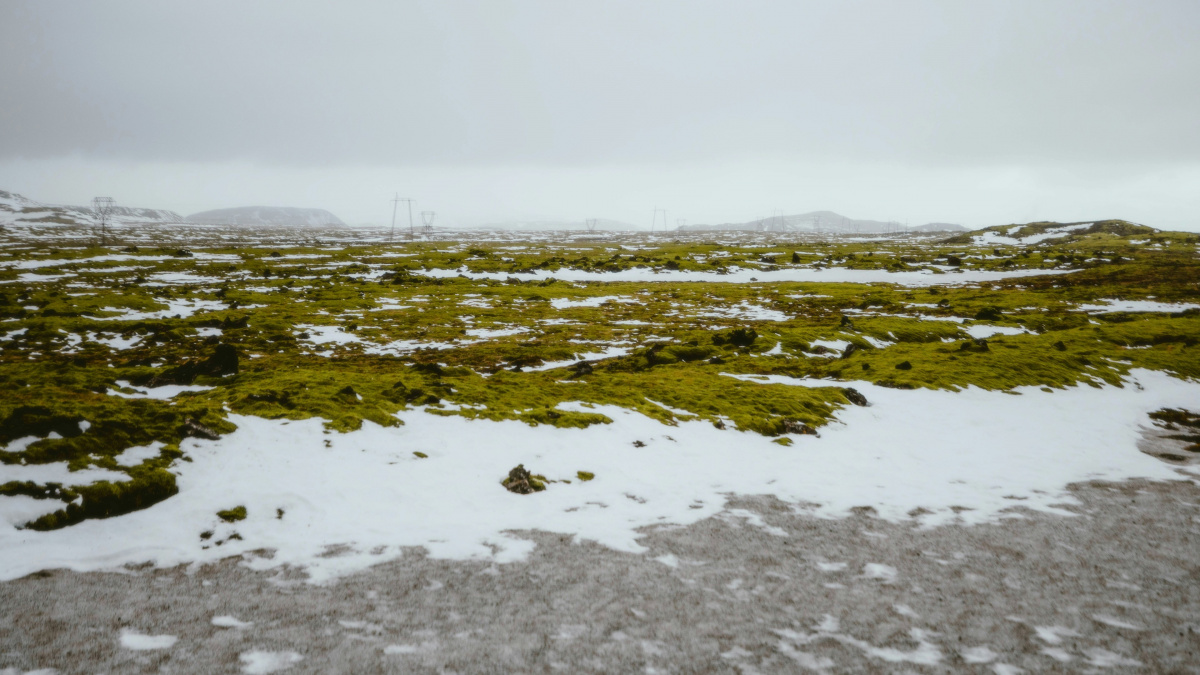 Velké vzkříšení! Tající permafrost probouzí k životu starověké mikroby