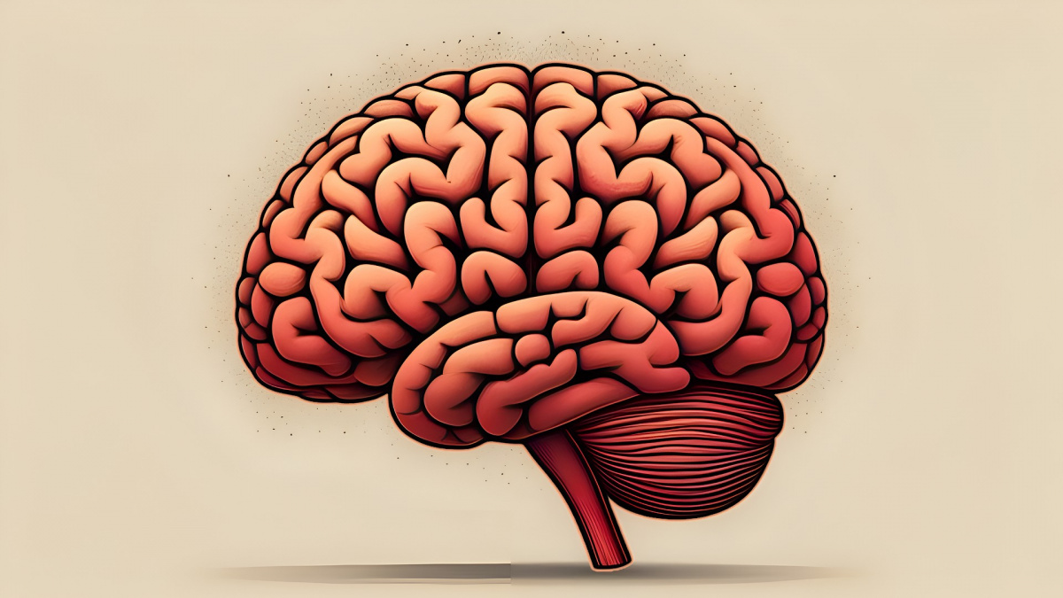 Na velikosti záleží? Mozek mužů se zmenšuje rychleji než u žen.