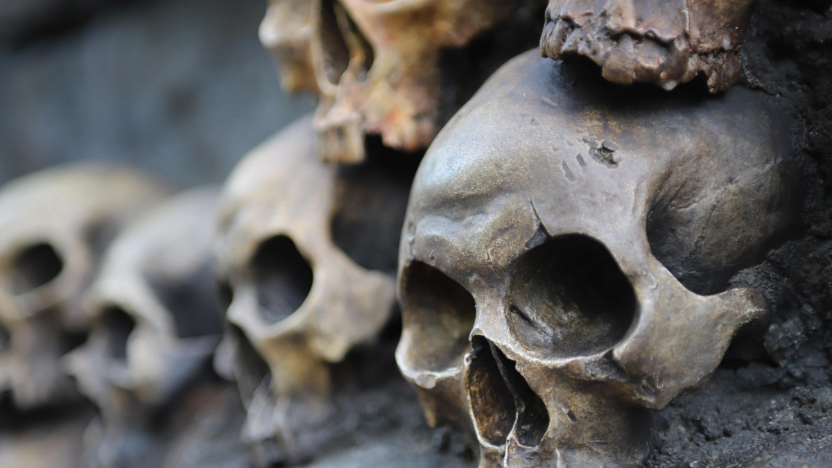 Vědci vyřešili staletou záhadu brutální vraždy maďarského barona