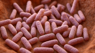 Nová naděje na Parkinsonovu nemoc: střevo, bakterie a jednoduché vitamíny