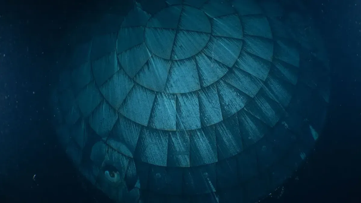 NASA zveřejnila snímek tajemné struktury pod hladinou. Není to UFO