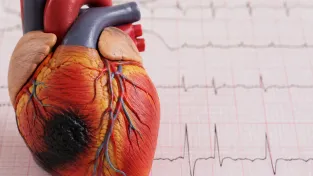 Polovina infarktů u lidí s normálním cholesterolem. Zní to jako důkaz – je to statistická past