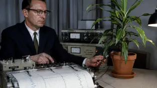 Backsterův efekt: Jak jeden polygraf v roce 1966 nastartoval mýtus o vědomí rostlin