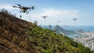 Drony s umělou inteligencí zalesňují Rio de Janeiro rychlostí padesáti fotbalových hřišť za den