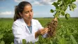 Brazilská mikrobioložka získala Nobelovu cenu za potraviny, umí nahradit hnojiva bakteriemi