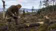471 let před Kolumbem. Letokruhy prozradily přesný rok vikingské výpravy do Ameriky