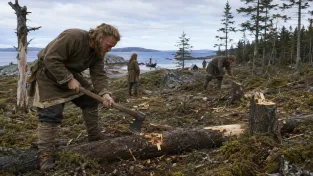 vikingove