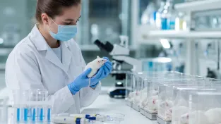1200 klonů z jedné myši. Dvacetiletý experiment narazil na biologickou zeď