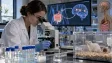 Deprese se dá přenést na krysu pouhou transplantací střevních bakterií