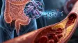 Ve střevech nám možná žije přirozený lék na cholesterol