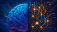 Neuroplasticita a celoživotní vzdělávání: Jak se náš mozek přizpůsobuje digitálnímu věku a změnám na trhu práce