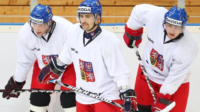 Hadamczik přivítal v přípravě i posily z NHL Plekance s Tlustým