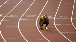 TOP 5 smolařů letošní olympiády!