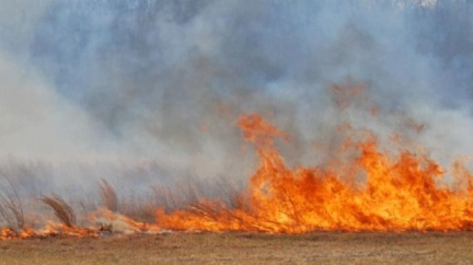 Chorvatské lesy a olivovníkové sady ničí obrovský požár