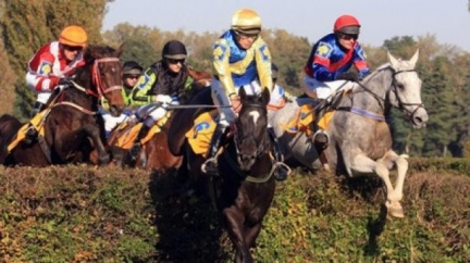 Před nedělní Velkou pardubickou někdo poničil trávník závodiště 