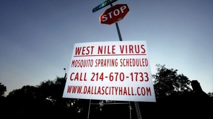 Texasem otřásá západonilská horečka, úřady hlásí stav nouze