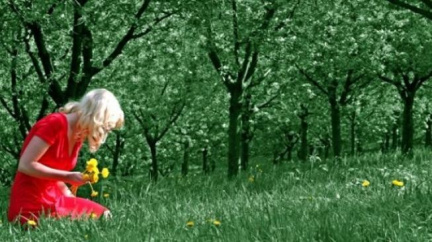 Poslední tropický den bude v neděli